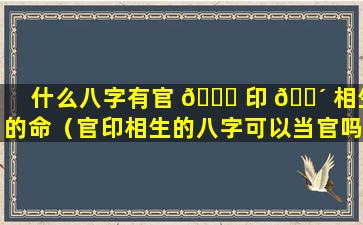 什么八字有官 🐎 印 🐴 相生的命（官印相生的八字可以当官吗）